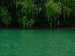 -天鹅湖体育公园