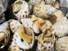 -强记海鲜·大排档(蛇口新街店)
