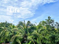 -三亚海棠湾万丽度假酒店