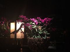 -三井日式料理(农安街店)