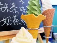 -CHOCHENG&CO.(欢乐海岸店)