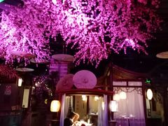 -韵秋荷(宝山龙湖天街店)