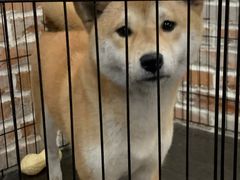 -呼吸沉浸式剧场(甘露园店)