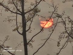 -汉长安城未央宫国家考古遗址公园