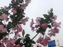 -海底捞火锅(九霄梦天地店)