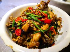 爆炒田鸡-壹盏灯(惠农店)