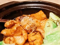 陈皮菇丝炆海斑-8餐厅(新葡京酒店)