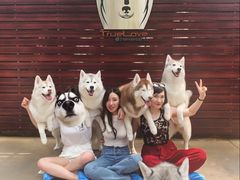 -TrueLove @ Neverland (Husky Cafe)