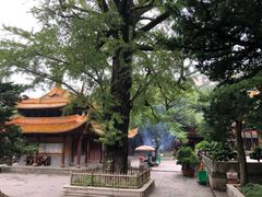 -普陀山风景名胜区-法雨禅寺