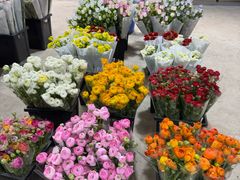 -三圣花乡旅游区