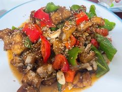 -煲来饱去冷水鱼