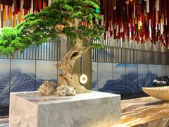 -青水瓦台汤泉(未央店)