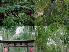 -瑶琳仙境