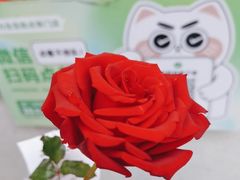 -沪上阿姨·精选茶饮(广州区庄店)