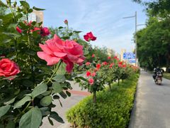 -木塔寺遗址生态公园