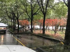 -安飞驰驾校·学车连锁(金高店)