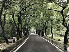 -东湖落雁景区