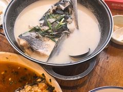 千岛湖野生有机鱼-丰乐餐厅·始于1999·本地老字号