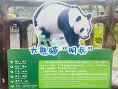 -柳州市动物园