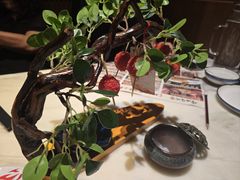 -唐猫庭院·千年陕菜(大唐不夜城店)