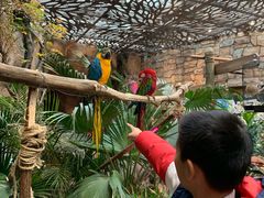 -杭州开元森泊度假乐园