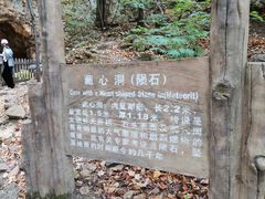 -五女峰国家森林公园