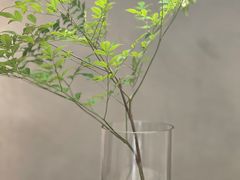 -野鸽子咖啡(中航店)