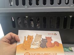-纳吉亚猫专科动物医院·北北分院