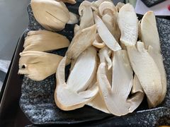 -蘑统田下·野生菌火锅