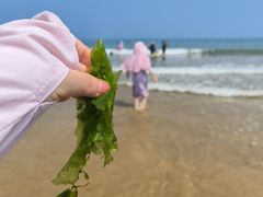 -青岛银沙滩
