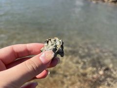 -兴城海滨风景区