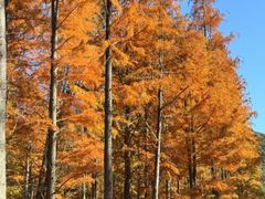 -敬亭山风景名胜区