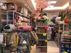 -北京观赏动物医院·24小时大型综合·猫专科·异宠专科