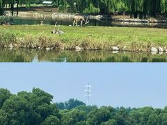 -南海子公园