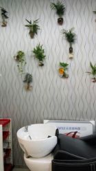 -意廊 Hair Salon