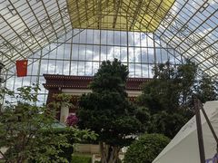 -拉萨圣地天堂洲际大饭店-自助餐厅