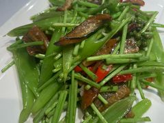 菜梗炒马步鱼干-黑明餐厅(白鹭洲店)