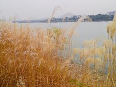 -羊山湖公园