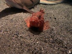 -鹿儿岛水族馆