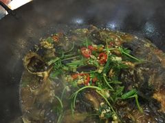 -岩泊渡桂鱼楼活鱼馆
