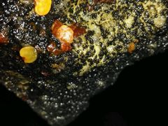 android_upload_pic-五娭毑臭豆腐(黄兴南路店)