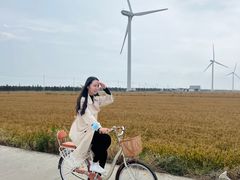 -上海长兴岛郊野公园