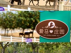 -盈香心动乐园