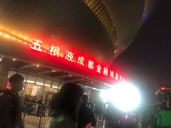 -成都金融城演艺中心