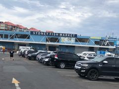 -悉尼鱼市场