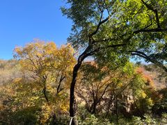 -北京西山国家森林公园