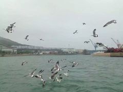 -海驴岛(荣成市)