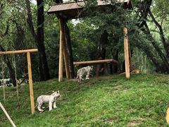 -北京野生动物园