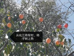 -艾米稻香小镇