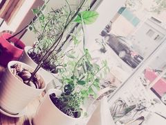 -Egg•Allday Brunch(襄阳北路店)